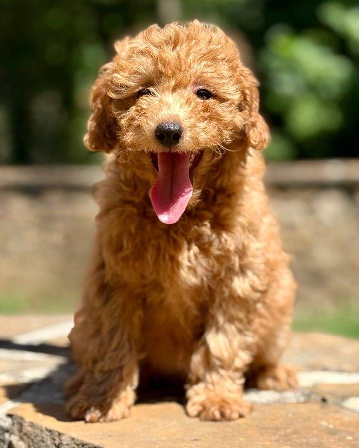 Ellie