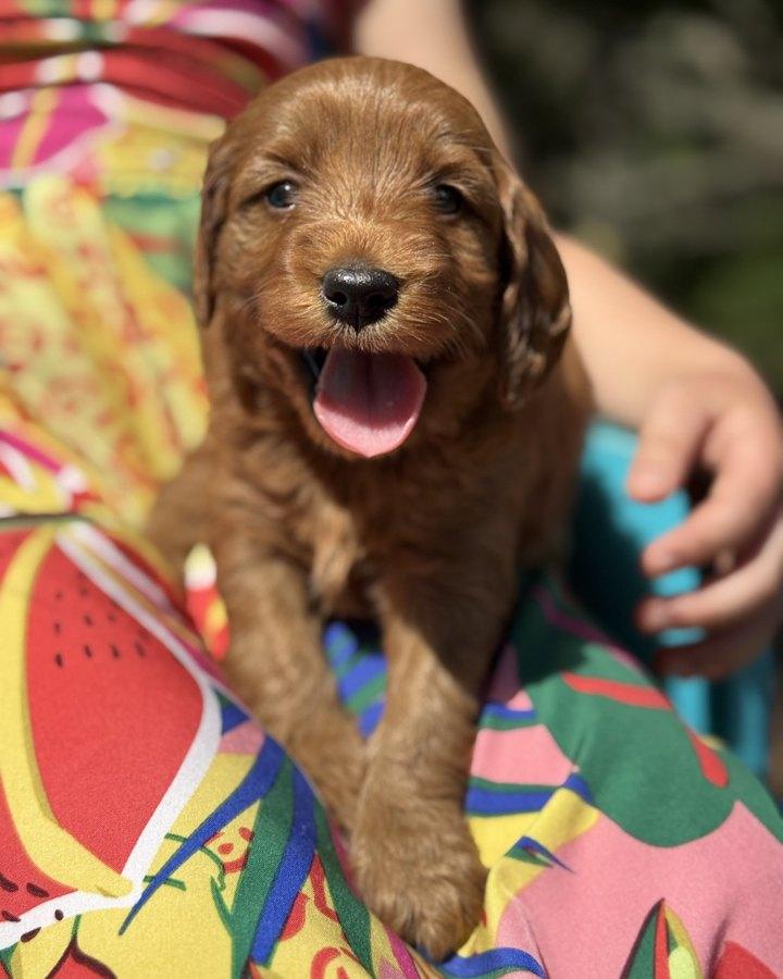 Copper