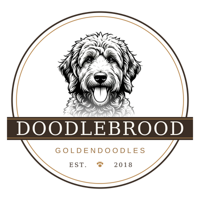 DoodleBrood Goldendoodles crest